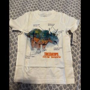 Carters Boys Dino Tee NWT